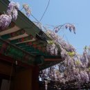 칠보사입구