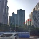 시흥월곶초등학교 네이버블로그