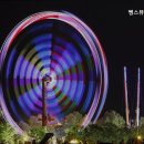 발하다뷰티