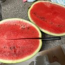 초이농장 이미지