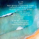 고래의꿈 - 서귀포시 독자봉로24번길 84 | 고래의꿈