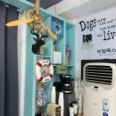 리얼독스 강아지분양 일산본점 | [일산 강아지분양] 리얼독스 일산본점에서 찾은 따뜻한 인연 이야기