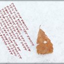 산소리