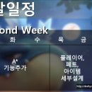 삼일INDex 이미지