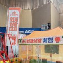 용인실내체육관 | 용인시실내체육관 공룡대발이 안전대모험 후기｜체험·공연·놀이 한 번에! 3일 한정 어린이 놀이파크