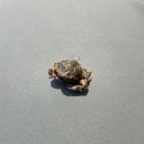 국치마을 이미지