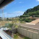 하솜별담 이미지