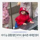 새솔동물병원 | 아기 눈 충혈 원인 3가지, 눈병 결막염 구별법과 올바른 대처법 정리
