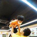 뿌리깊은나무태권도장 이미지