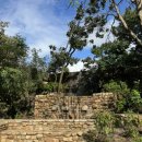 스파펜션링스 이미지