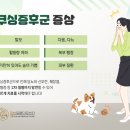 온천동물병원 이미지