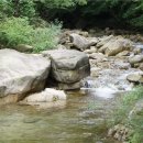 월악주유소 이미지