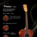 통기타(입문A) 이미지