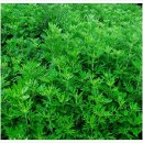 하나농장 이미지