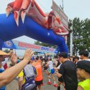 제21회 영덕 해변 전국마라톤대회 코스 후기 포항근처 아이들과 여행하기 좋은곳