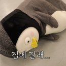 달달구리 Daum카페