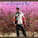 컴사랑 이미지