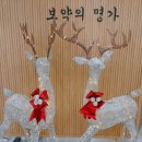 경희보성한의원 이미지