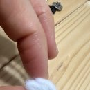 싸게싸게 이미지