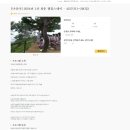 스테이청춘 이미지