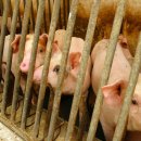 북산농장 이미지