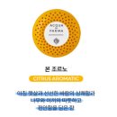 차랑용인 - 용인시 기흥구 공세로 150-29 | 테슬라 모델 Y, 아쿠아디파르마 차랑용 방향제 구매 후기🐥