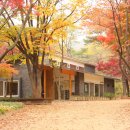 숲속도서관 이미지