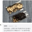 집에 미친 고양이가 들어왔어요