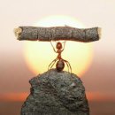 으랏차차 이미지