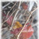 비지니스호텔 이미지