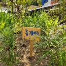 당산초교 이미지