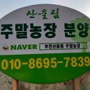 산울림농장 이미지