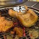 빽돈 - 관악구 관악로16길 32-2 | 빽돈