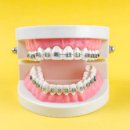 연세스카이치과의원 이미지