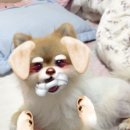 계양메디칼센터 이미지