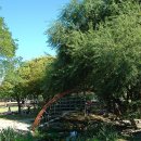 서울숲10 이미지