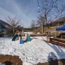 올라알파카 카페 이미지