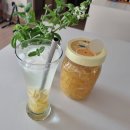 고흥군농업기술센터 | 25년 고흥 유자나무 분양 체험후기 + 유자축제