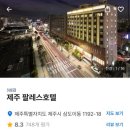 제주팔레스호텔 | 제주도 EP15. 시내 가성비 호텔 “제주팔레스호텔” 솔직후기