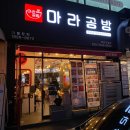 [대전 둔산 맛집] 마라공방 대전시청점 방문 후기✨ 마라탕과 꿔바로우가 완전 대박!
