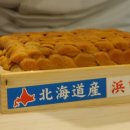 스시인 이미지