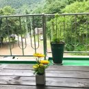 골안민박 이미지