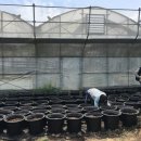 미화농장 이미지