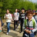 외솔초등학교 이미지