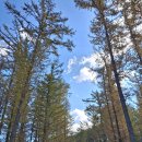 민둥산햇살좋은펜션 | (민둥산 후기) 한토 20기 산행을 만차로 시작하다