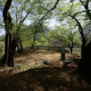 구담체육공원 이미지