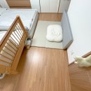 매트지유 | 디자인스킨 탄탄 셀프 시공 롤매트 16T 실제 사용 찐 후기