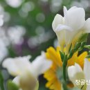 성장교회 이미지