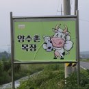 양수촌 목장 이미지
