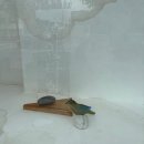 청운다실 이미지